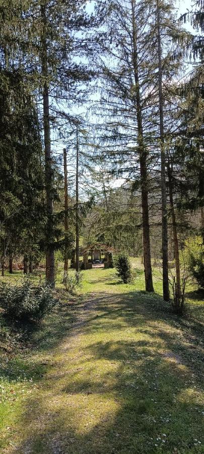 Apartmán Casale La Pineta Mombaroccio Exteriér fotografie