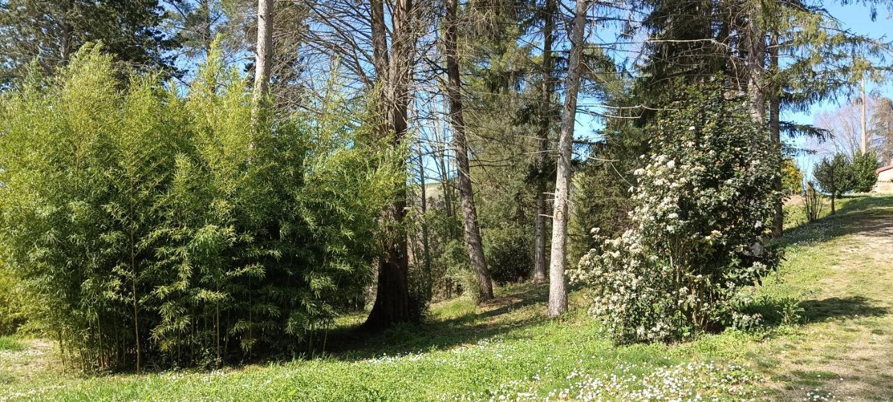 Apartmán Casale La Pineta Mombaroccio Exteriér fotografie