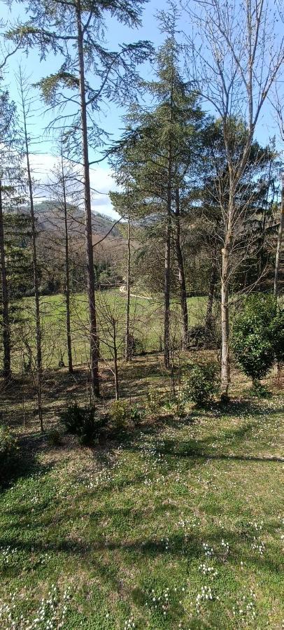 Apartmán Casale La Pineta Mombaroccio Exteriér fotografie
